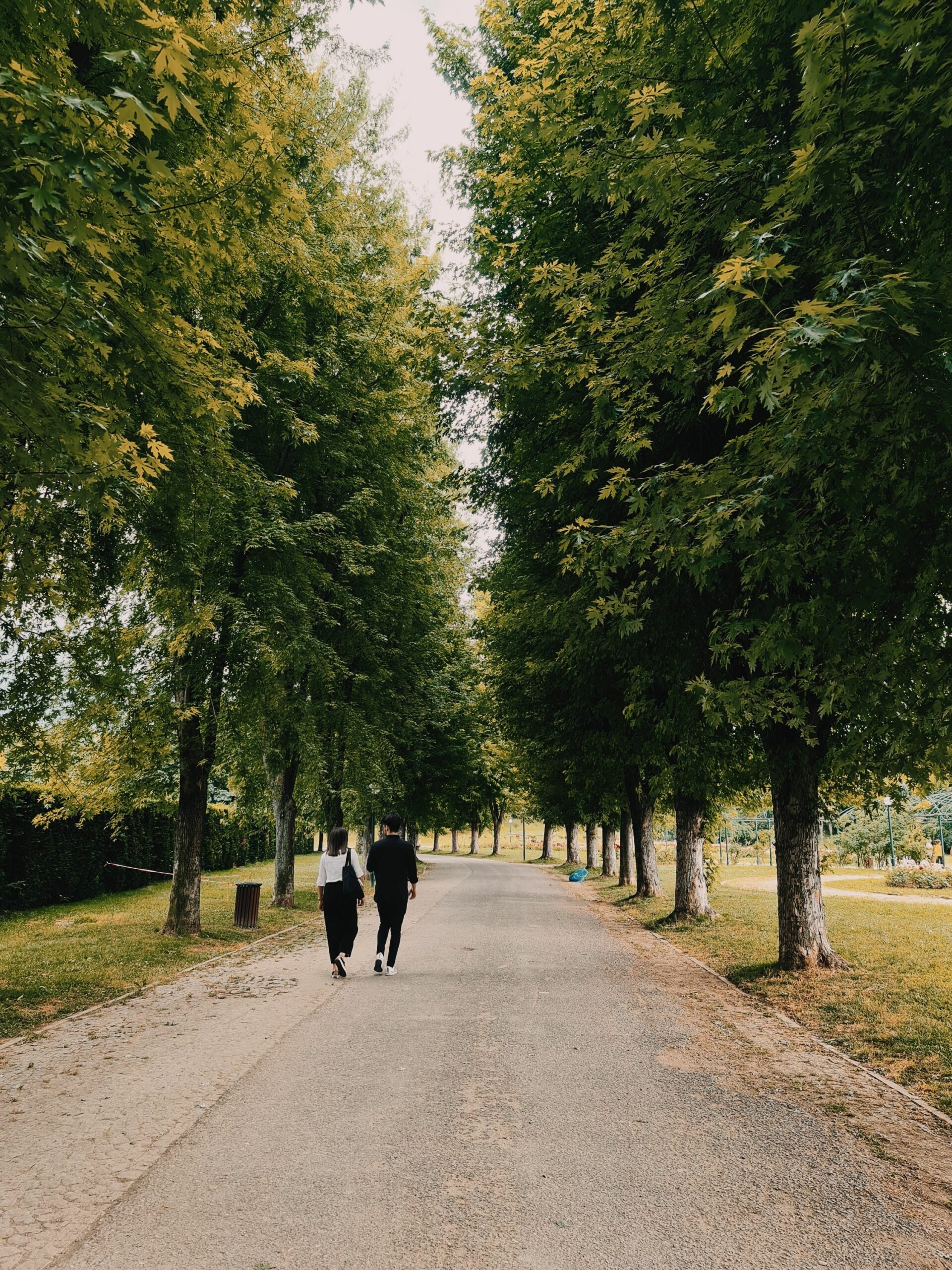 Two people strolling down a picturesque tree-lined path, surrounded by lush greenery.