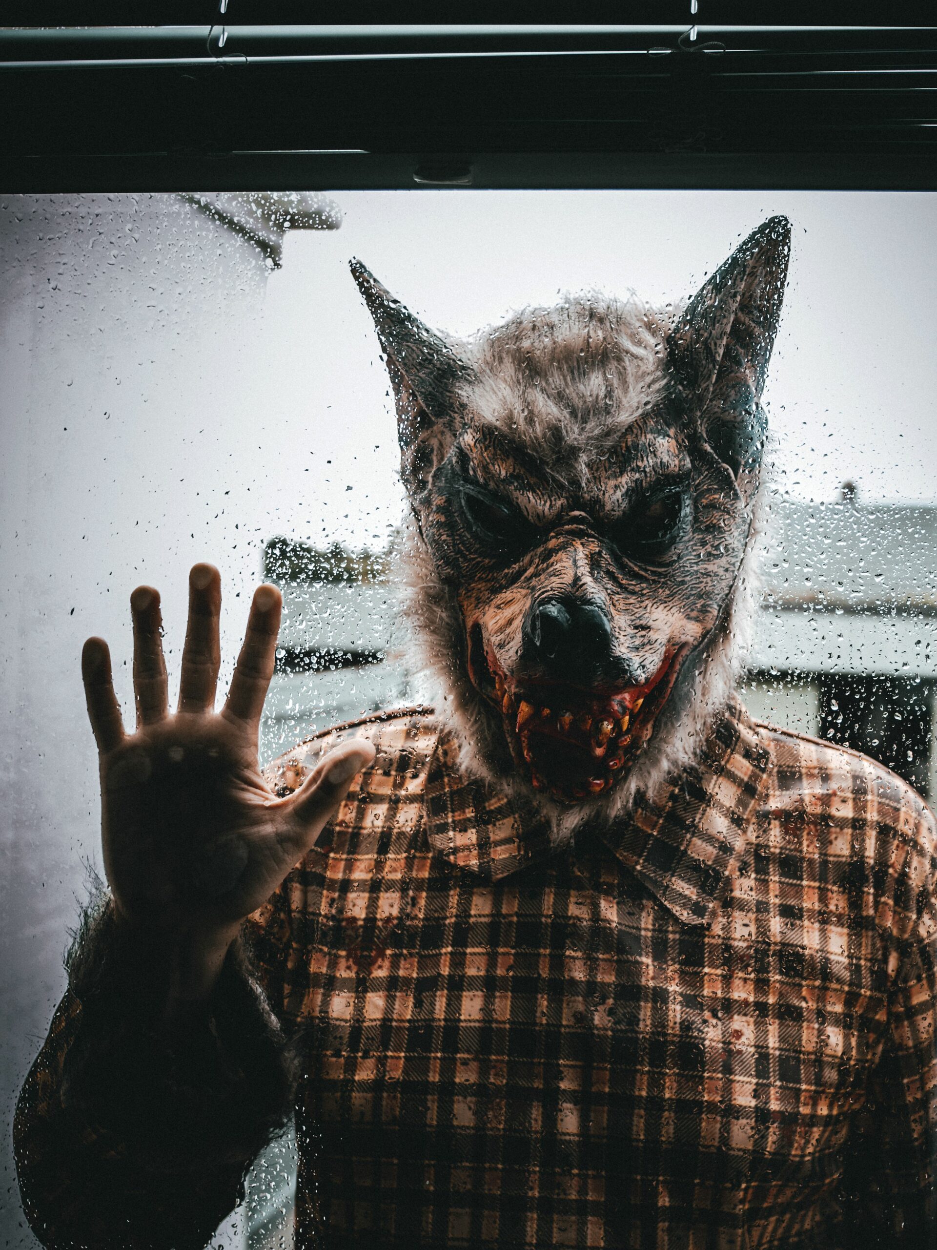 A man wearing a realistic werewolf mask stands behind a rain-soaked window.