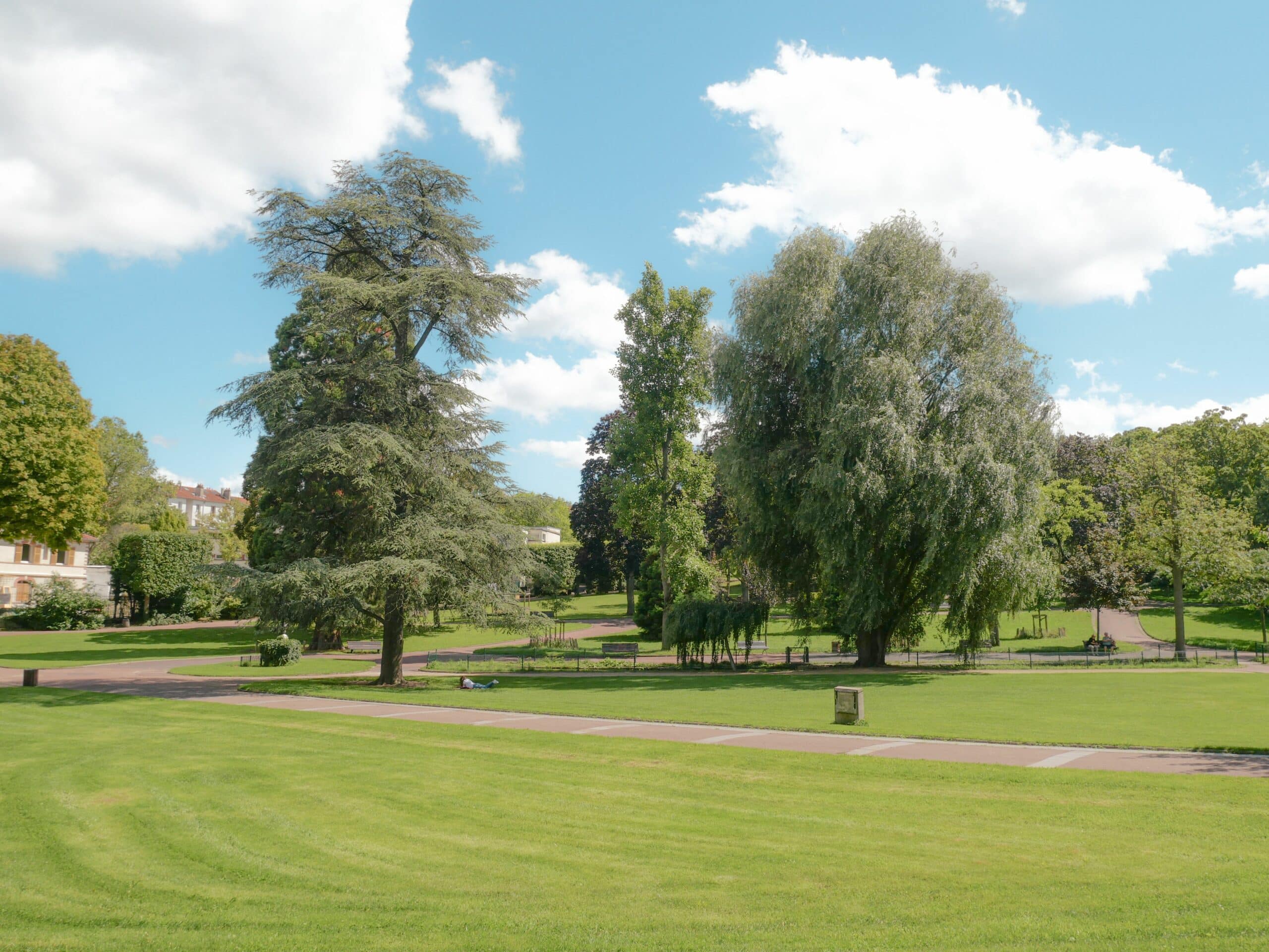 A tranquil sunlit park scene with lush green trees and vibrant grass.