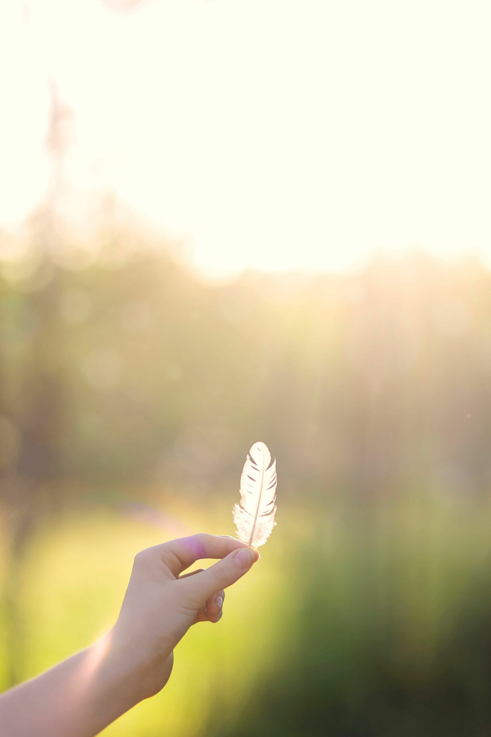 A delicate feather is held in a hand with glowing sunlight in the background.